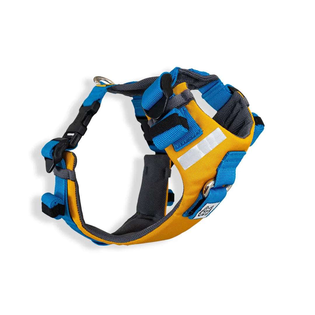 COLOR-AMARILLO_1.webp