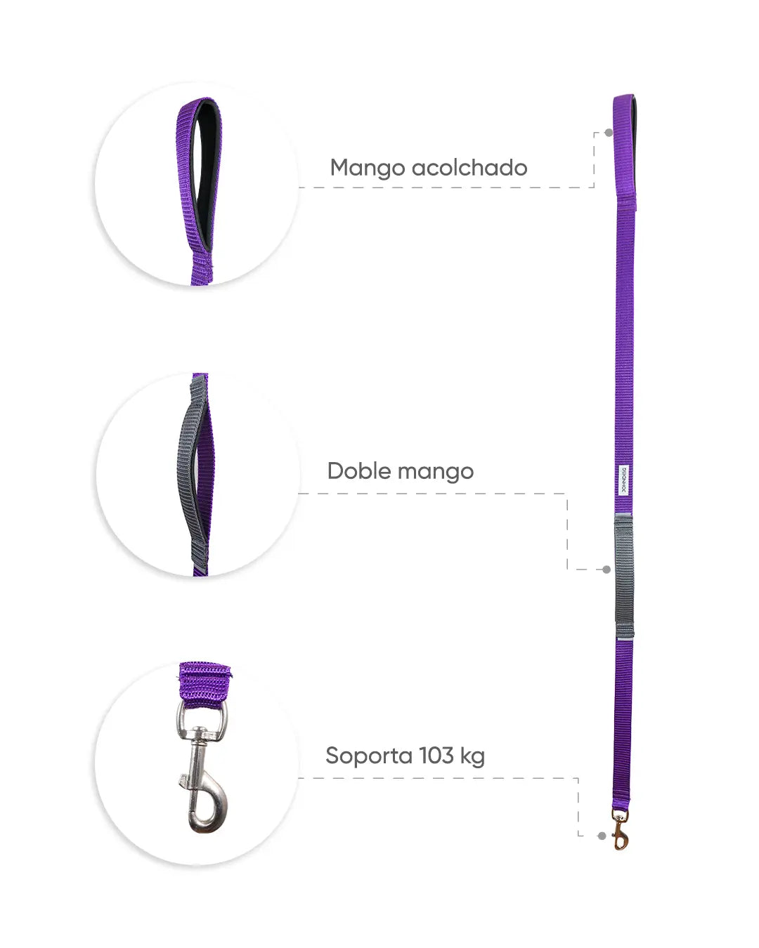CORREA-MORADA_1.webp