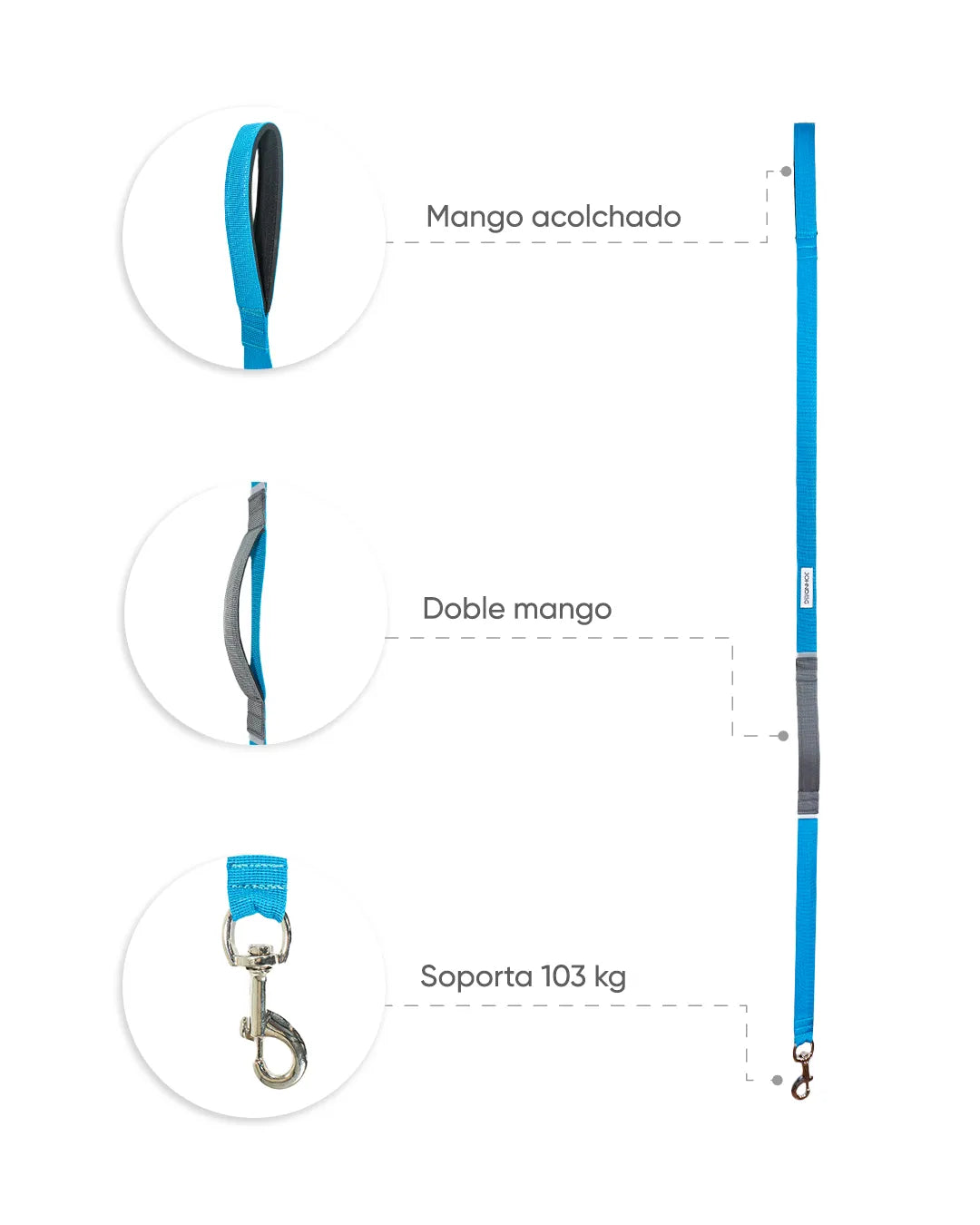 CORREAS--CELESTE_1_1.webp