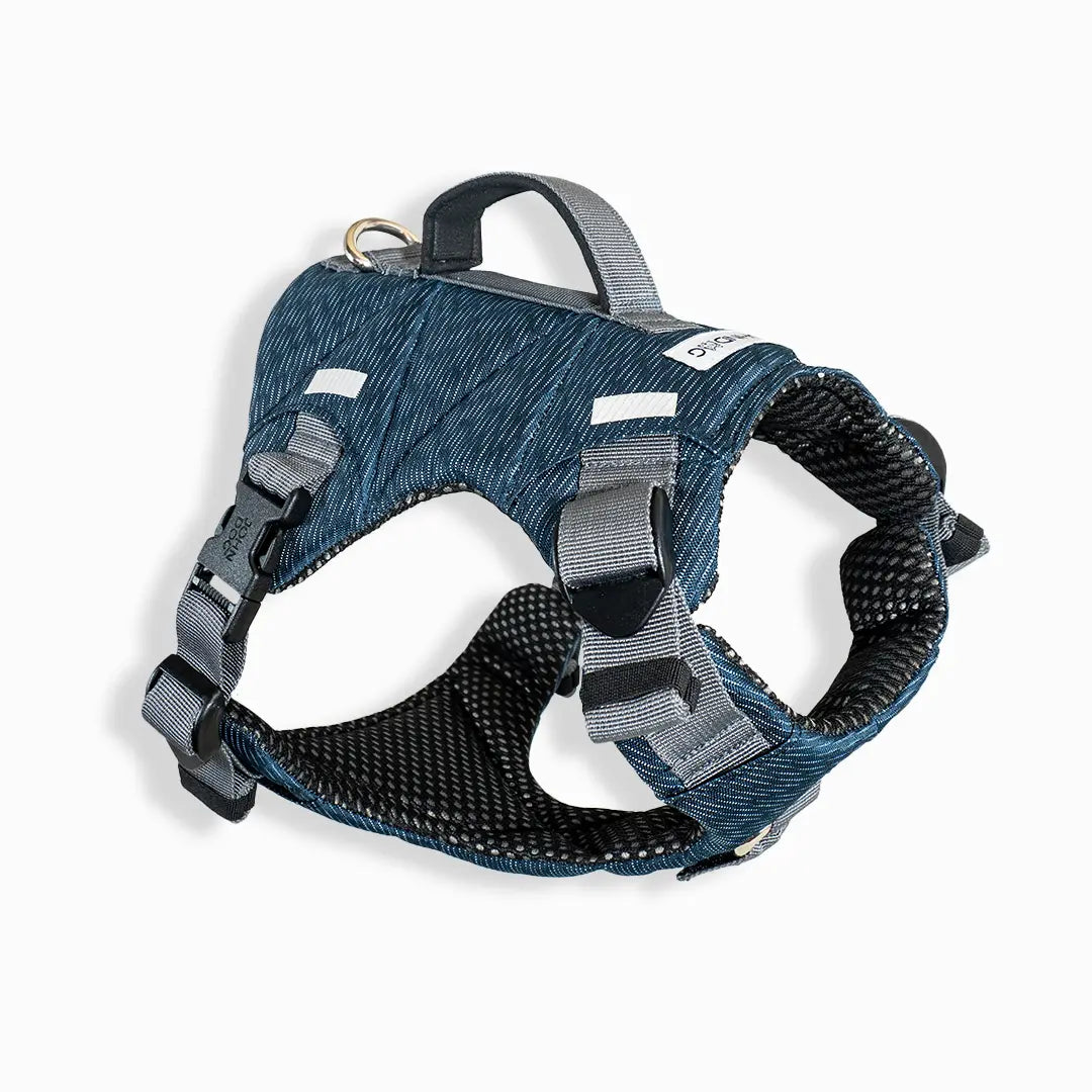 Arnes Elite Johndog color Azul Navy producto principal