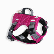 Arnes Elite Johndog color Fucsia producto principal