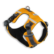 Arnes Explorer Johndog color Amarillo producto principal