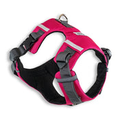 Arnes Explorer Johndog color Fucsia producto principal