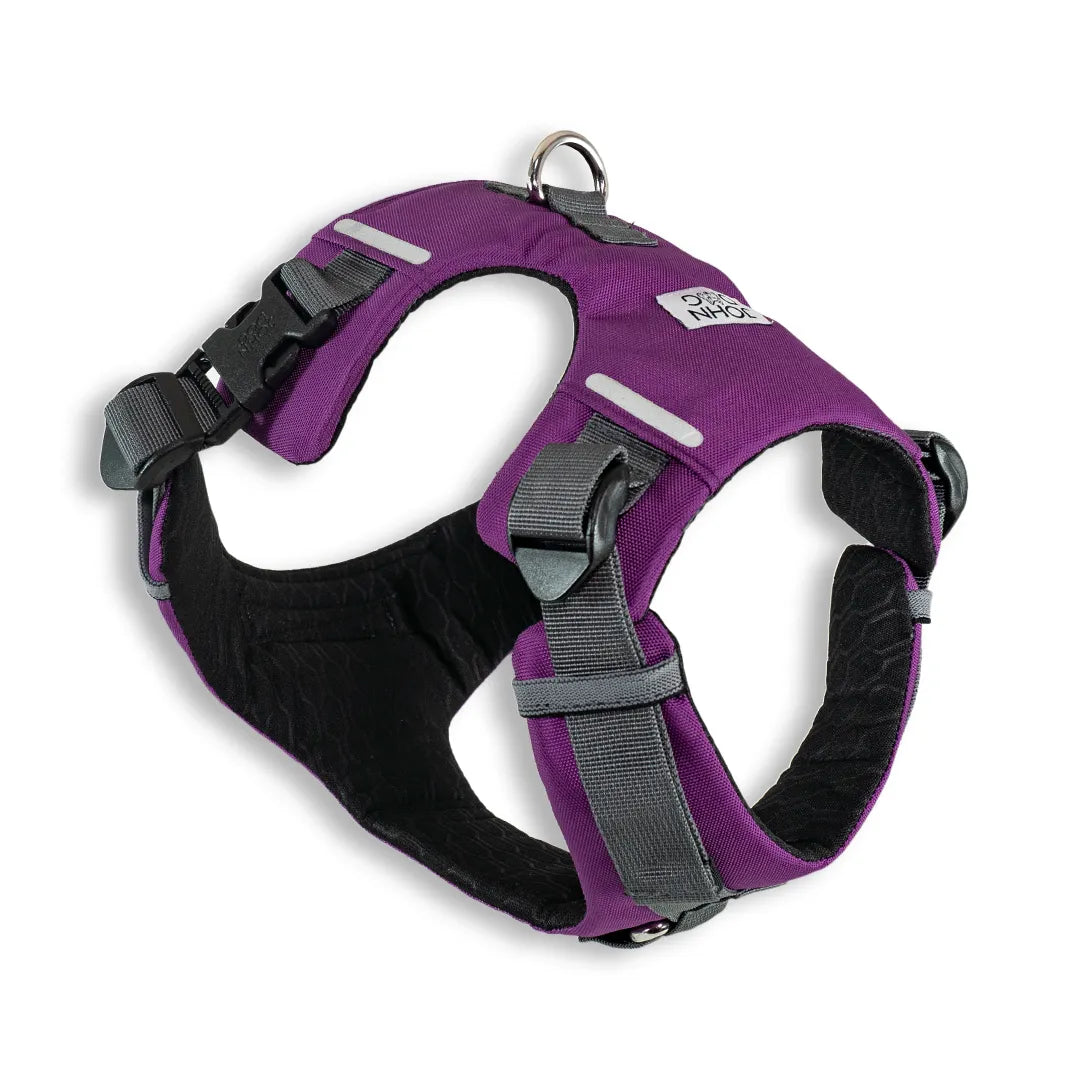 Arnes Explorer Johndog color Morado producto principal