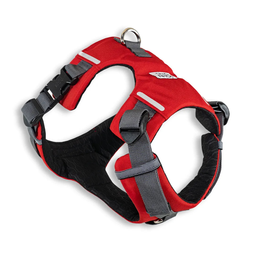 Arnes Explorer  Johndog color Rojo producto principal