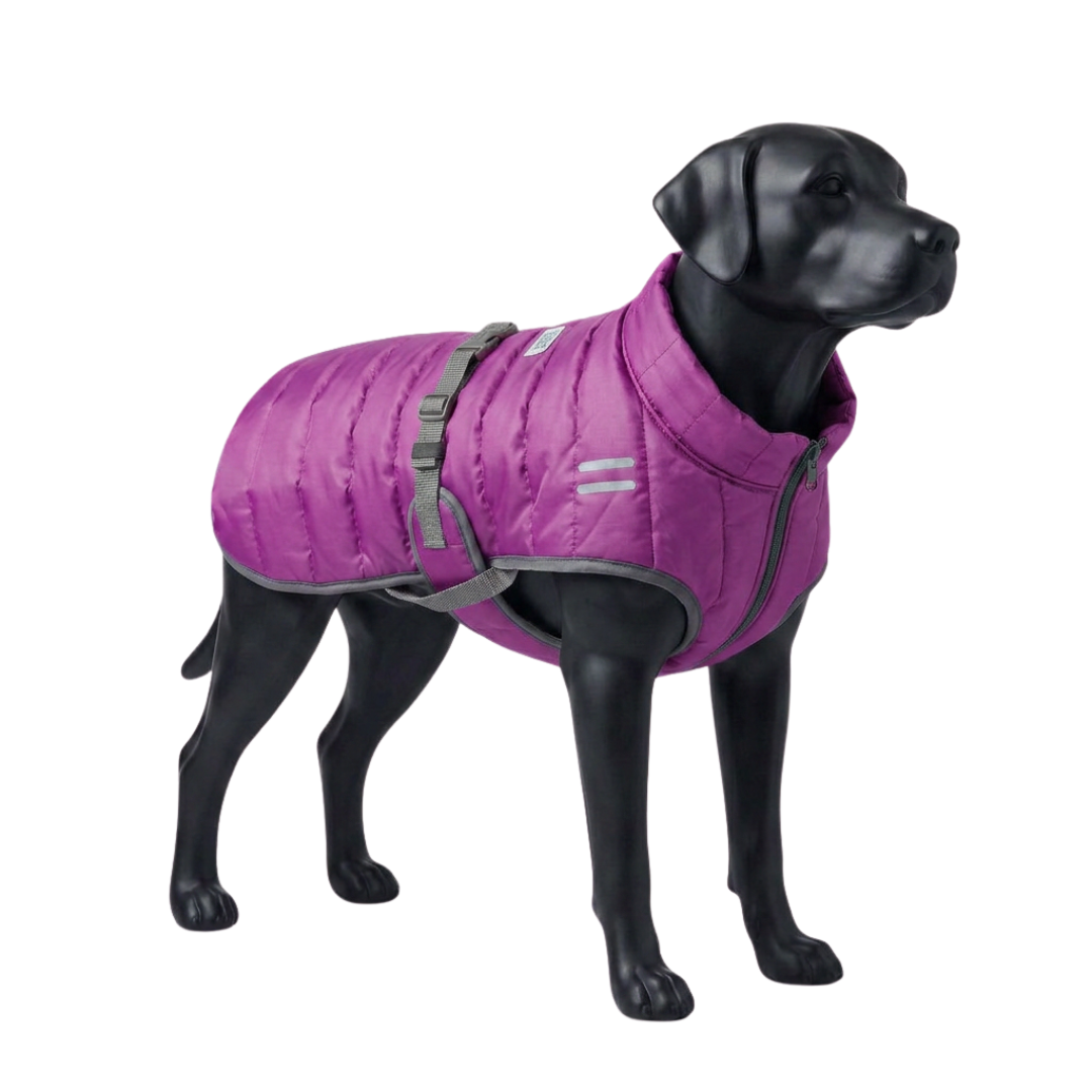 Chaleco Sox Johndog color Lila producto principal maniqui