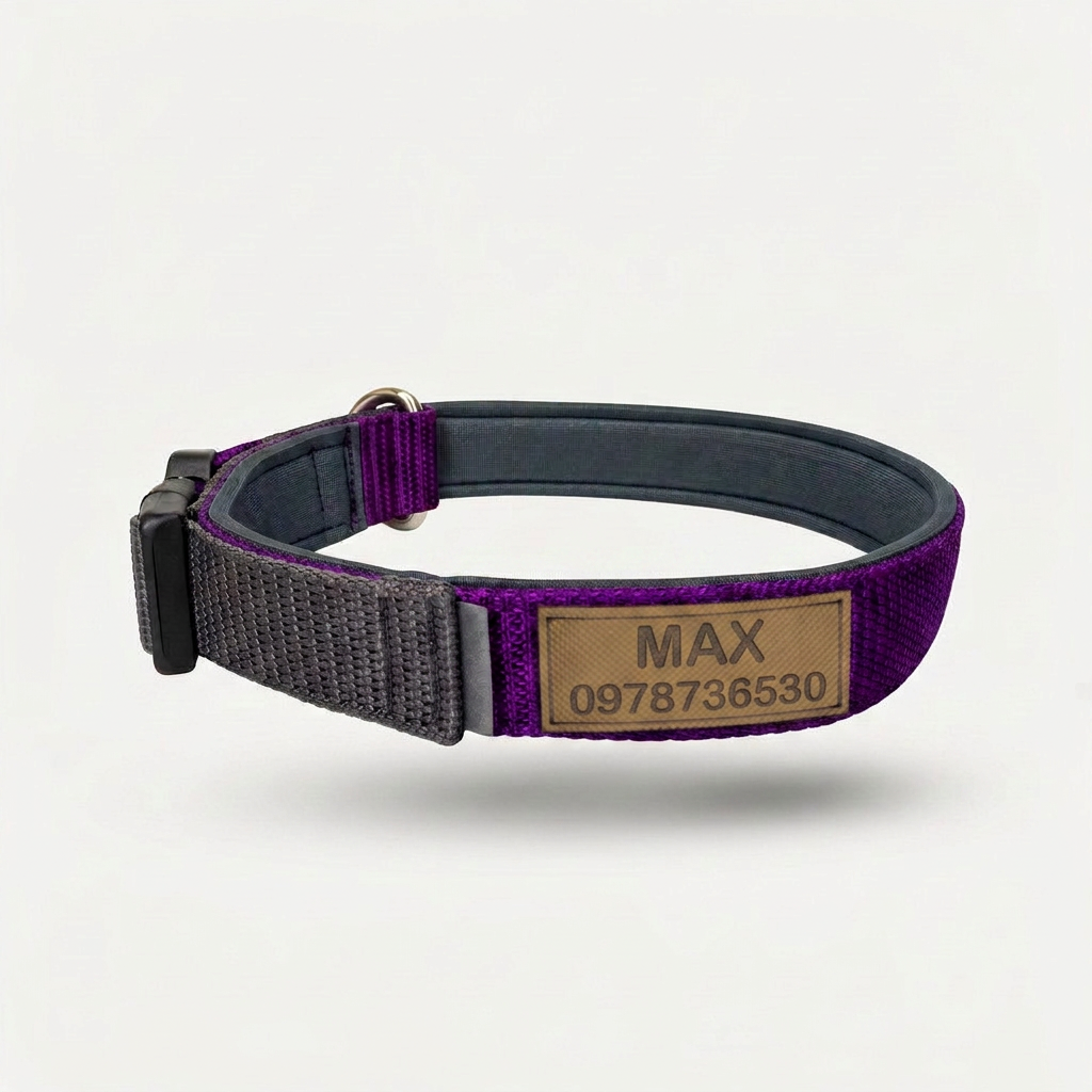 Collar COnfort Johndog color Morado vista frontal Identificacion